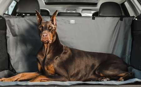 The Well-Dressed Pet – Apparel with Purpose