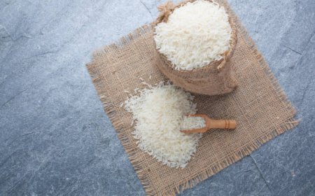Leading Basmati Rice Exporter for Global Quality Supply