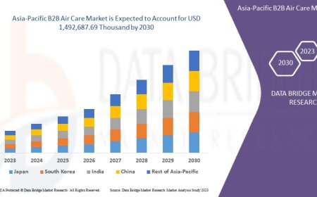 Asia-Pacific B2B Air Care Market Scope: Growth, Share, Value, Size, and Analysis
