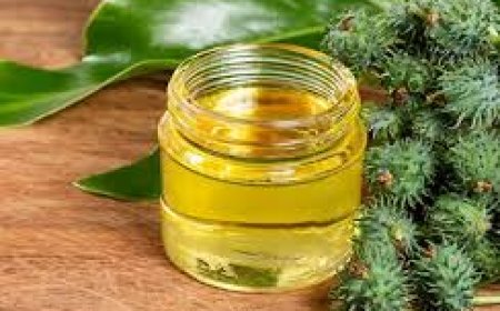 Trusted Castor Oil Manufacturer for Quality and Purity