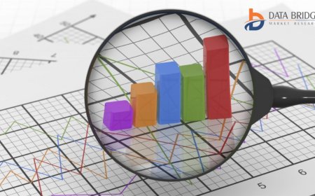 U.S. Pet Accessories Market Overview: Trends, Challenges, and Forecast 2024 –2031