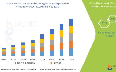 Hemostatic Wound Dressing Market Overview: Trends, Challenges, and Forecast 2023 –2030