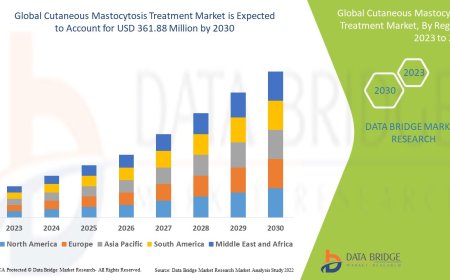 Cutaneous Mastocytosis Treatment Market Overview: Trends, Challenges, and Forecast 2023 –2030