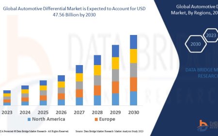 Automotive Differential Market Overview: Trends, Challenges, and Forecast 2023 –2030