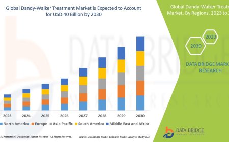 Dandy-Walker Treatment Market Dynamics: Key Drivers and Restraints 2023 –2030