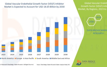 Vascular Endothelial Growth Factor (VEGF) Inhibitor Market Overview: Trends, Challenges, and Forecast 2023 –2030