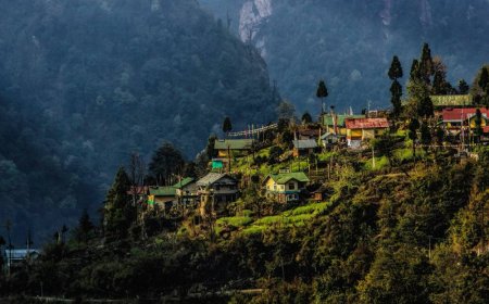 Sikkim Darjeeling Tour Itinerary for First-Time Travellers