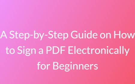A Step-by-Step Guide on How to Sign a PDF Electronically for Beginners
