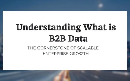 Understanding What is B2B Data: The Cornerstone of Scalable Enterprise Growth