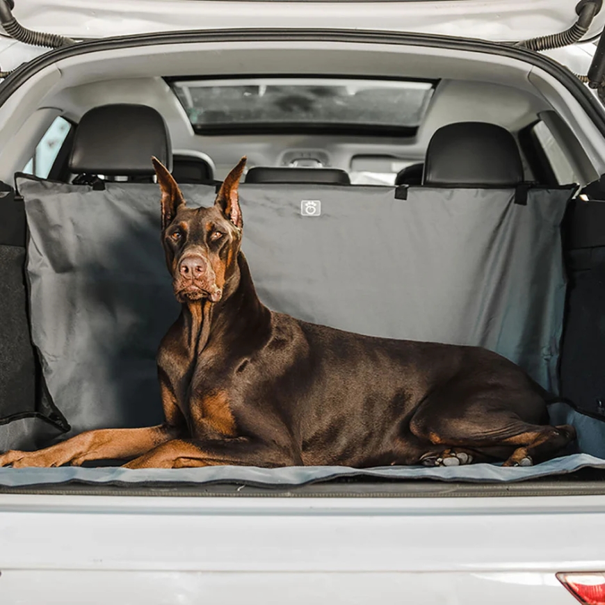 The Well-Dressed Pet – Apparel with Purpose