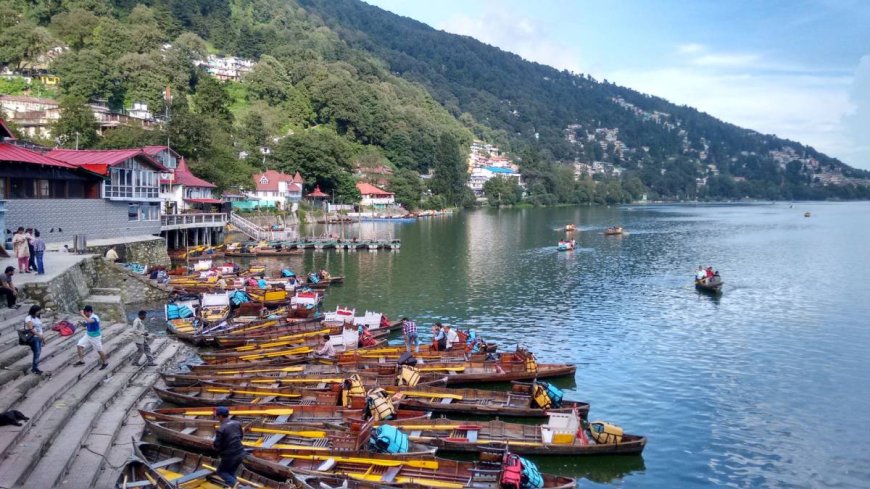 Affordable Darjeeling Escapes: Travel Tips for Budget Travelers