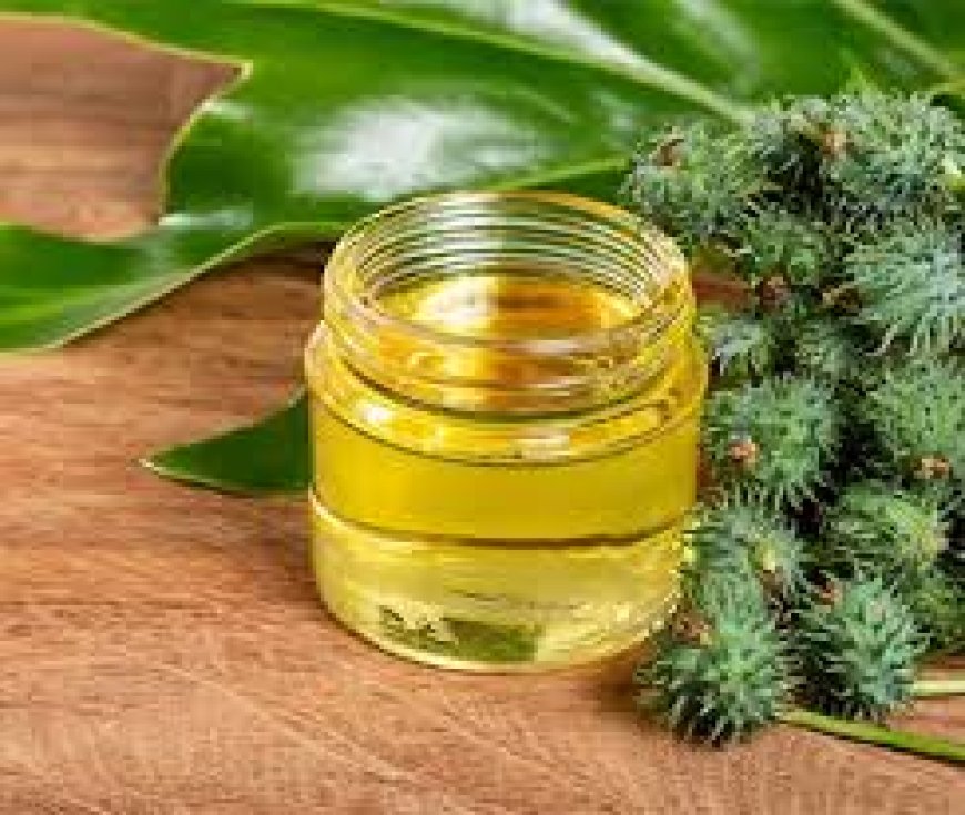 Trusted Castor Oil Manufacturer for Quality and Purity