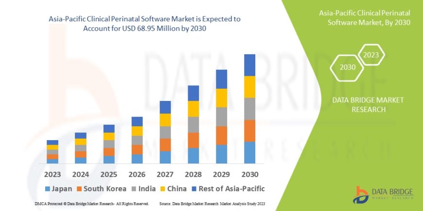 Asia-Pacific Clinical Perinatal Software Market Revenue Forecast: Growth, Share, Value, and Trends