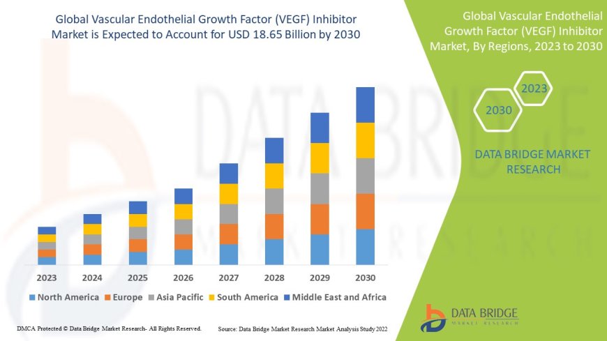 Vascular Endothelial Growth Factor (VEGF) Inhibitor Market Overview: Trends, Challenges, and Forecast 2023 –2030