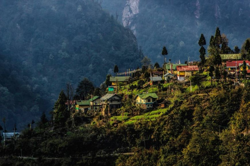 Sikkim Darjeeling Tour Itinerary for First-Time Travellers