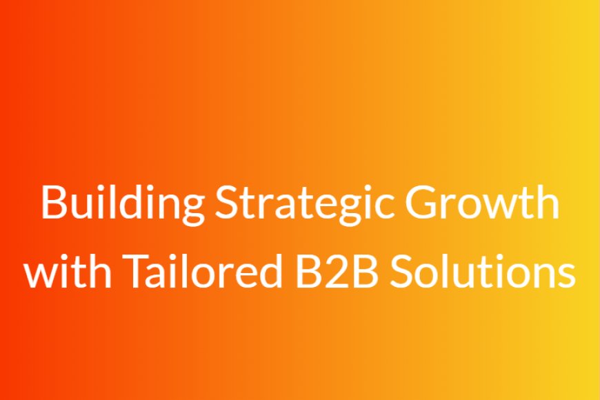 Building Strategic Growth with Tailored B2B Solutions