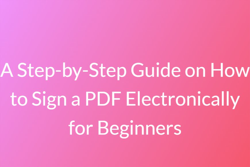 A Step-by-Step Guide on How to Sign a PDF Electronically for Beginners