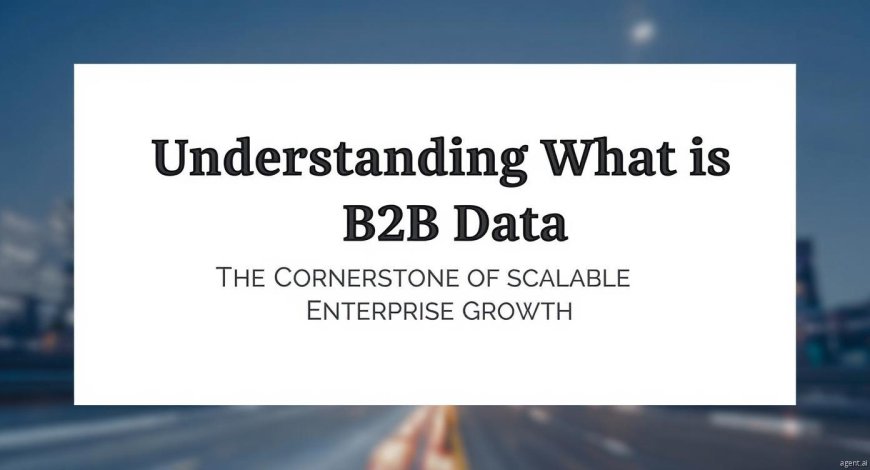 Understanding What is B2B Data: The Cornerstone of Scalable Enterprise Growth
