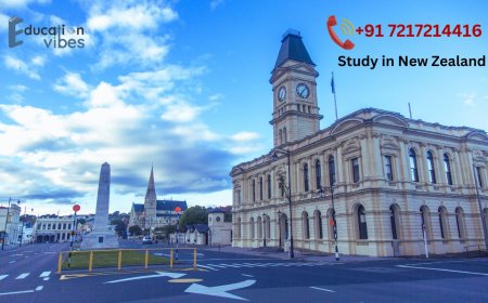 What are the most popular courses to study in New Zealand?