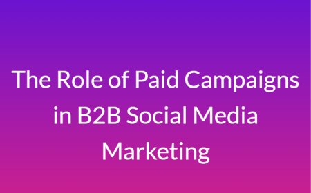 The Role of Paid Campaigns in B2B Social Media Marketing