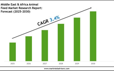 Middle East & Africa Animal Feed Market Forecast: Growth Drivers & Outlook to 2030