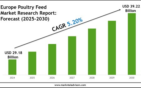 Europe Poultry Feed Industry Trends 2030 Market Size & Growth Forecast