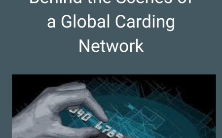 Briansclub Exposed: Behind the Scenes of a Global Carding Network