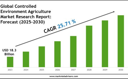Controlled Environment Agriculture Market Forecast: Growth Drivers & Outlook to 2030