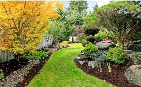 Landscaping in Manassas, VA: Where Function Meets Natural Beauty