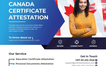 Benchmark Attestation Services: Expert Canada Certificate Attestation for UAE