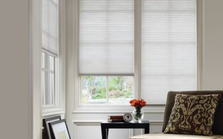 Landlord-Friendly Upgrades: Using Pull Down Blinds and Modern Window Blinds in Orlando Rental Properties