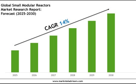 Small Modular Reactors Market Research 2025–2030: Demand Drivers & Projections