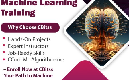 From Python to Neural Networks – Complete Machine Learning Course