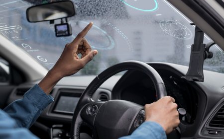 Enhancing Public Safety Using an Automatic License Plate Recognition System