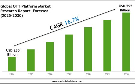 OTT Platform Market Research 2025–2030: Demand Drivers & Projections