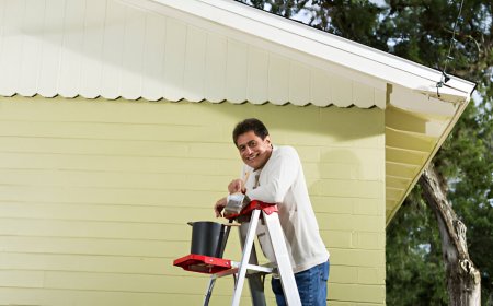 Seasonal Guide: The Best Time of Year to Paint Your House