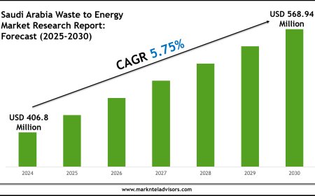 Exploring Saudi Arabia Waste to Energy Market Trends: Growth Outlook to 2030