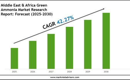 Forecasting the Middle East & Africa Green Ammonia Market: Key Metrics & Industry Overview