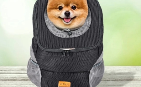 The Ultimate Guide to Using a Dog Carry Sling for Comfort and Convenience