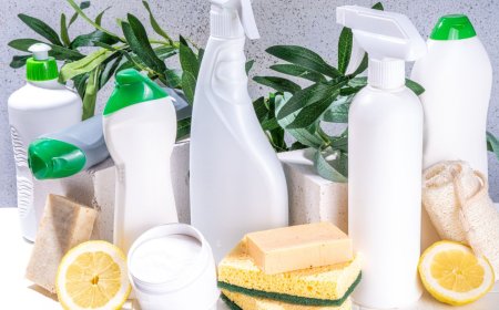 Bulk Cleaning Products That Bring Big Value to Everyday Cleaning