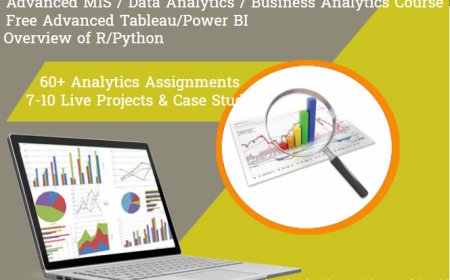 Practical MIS Project-Based Learning by Expert, 100% Job Guarantee, Limited Period Offer "Free MS Power BI Certification,"