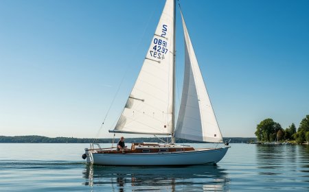 O’Day Widgeon Sails: What You Need to Know Before You Buy 