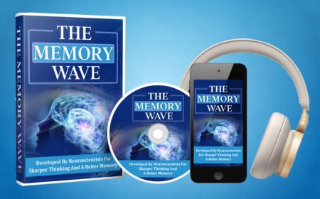 Can The Memory Wave Boost Brain Power Fast?