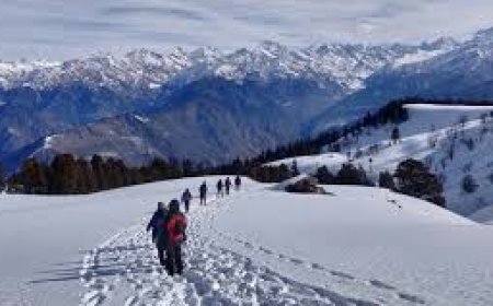 Kedarkantha Trek Guide (2025): Easy, Snowy & Unforgettable