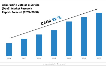 Asia-Pacific Data as a Service (DaaS) Market Companies, Share and Outlook Report 2030