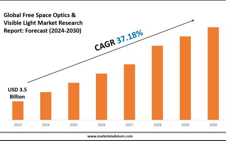 Free Space Optics & Visible Light Market Companies, Share and Outlook Report 2030