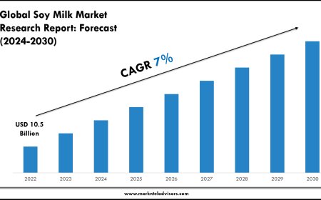 Soy Milk Market Size, Competitive Landscape and Outlook 2030