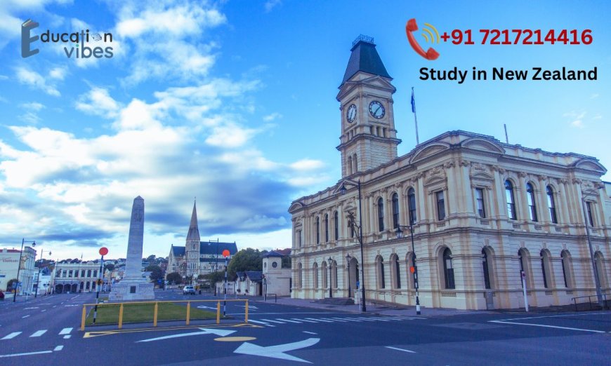 What are the most popular courses to study in New Zealand?