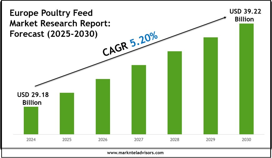 Europe Poultry Feed Industry Trends 2030 Market Size & Growth Forecast
