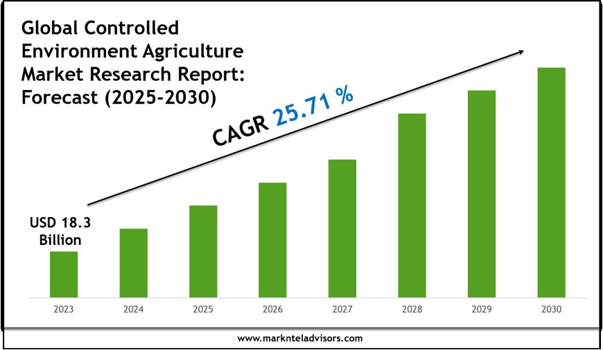 Controlled Environment Agriculture Market Forecast: Growth Drivers & Outlook to 2030